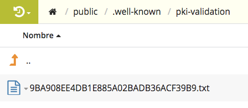 Configuración por TXT de  un SSL en DonDominio